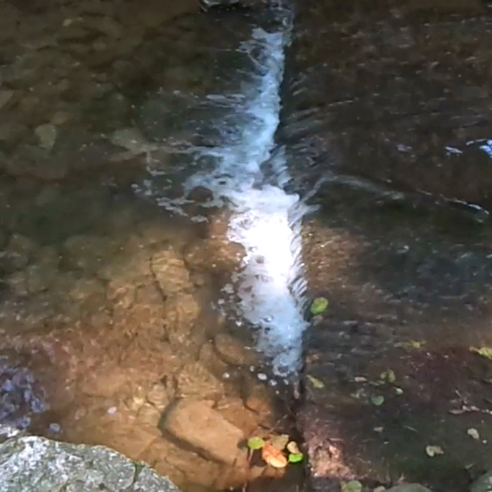 imagen 55. francesco cornello